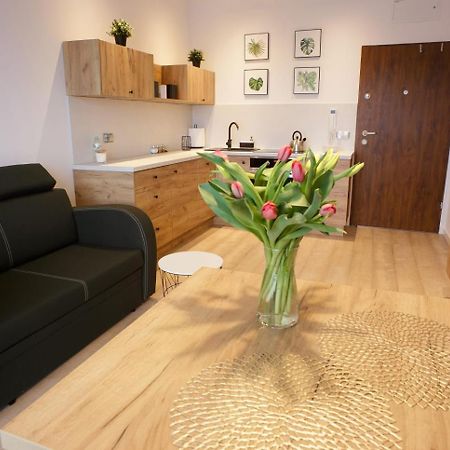 Apartament Na Piernikowym Z Miejscem Postojowym Stary Toruń Eksteriør billede